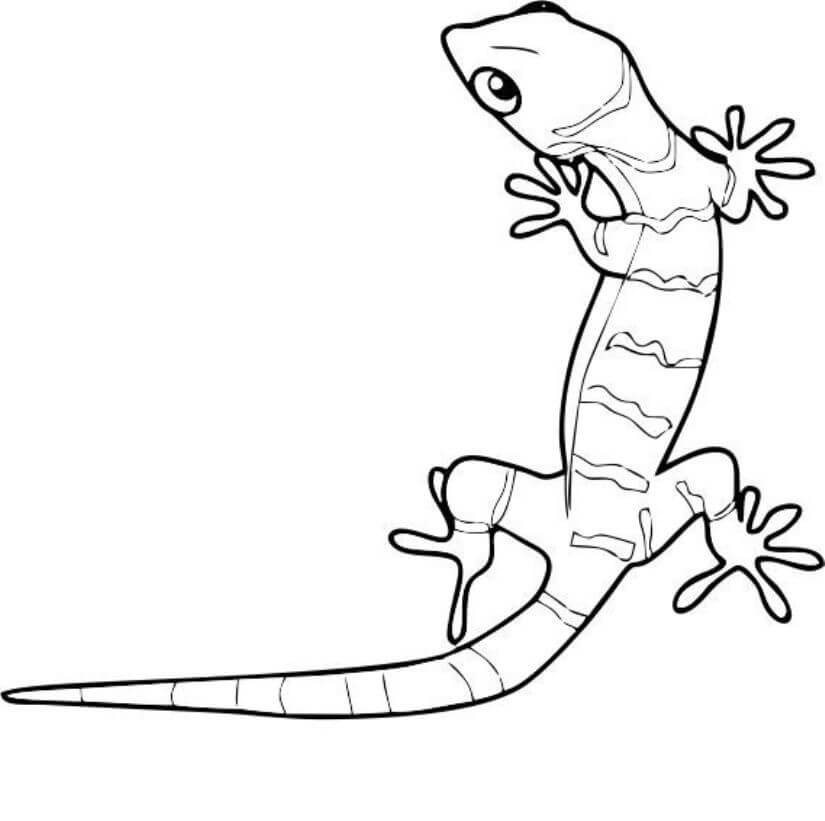 dibujo gecko impresionante para colorear