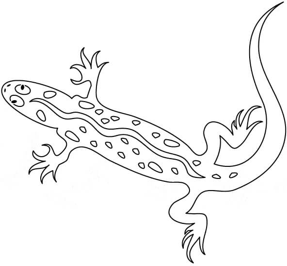 dibujo gecko imprimible para colorear