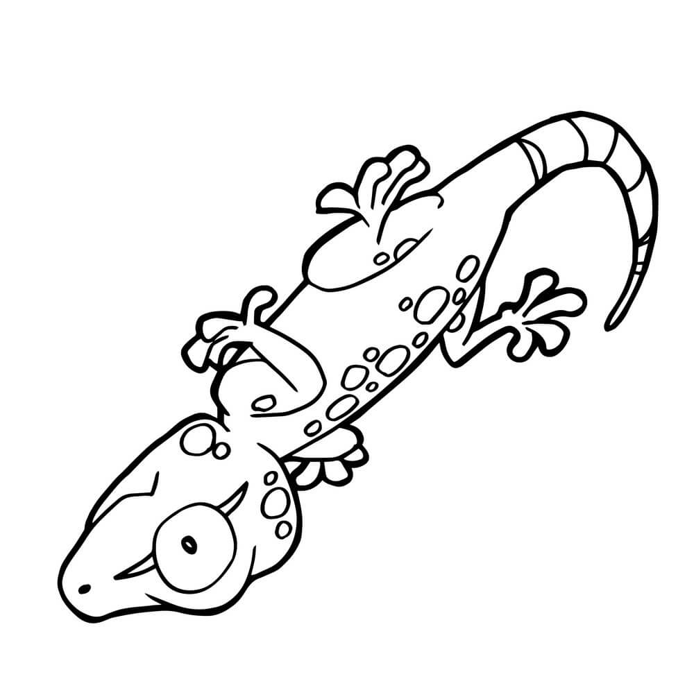 dibujo gecko lindo de dibujos animados para colorear