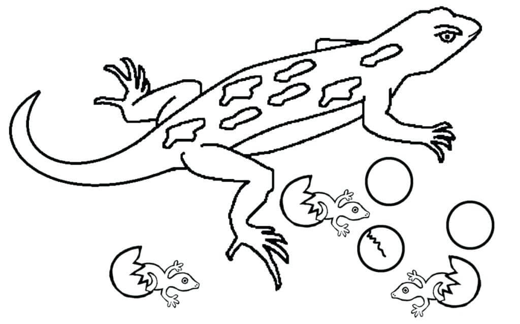 dibujo geckos y ninos para colorear