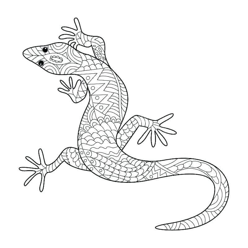 dibujo mandalas gecko para colorear