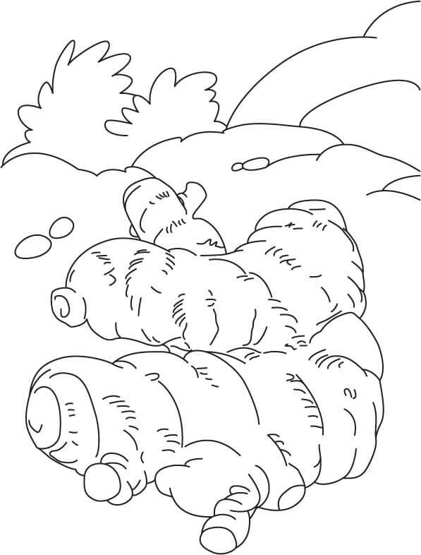 Dibujo de dos Gingers para Colorear y Imprimir