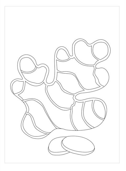 Dibujo de Jengibre Basíco para Colorear y Imprimir