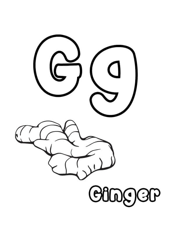 Dibujo de Letra G y Jengibre para Colorear y Imprimir