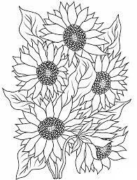 Dibujo de Cinco Girasol para Colorear y Imprimir