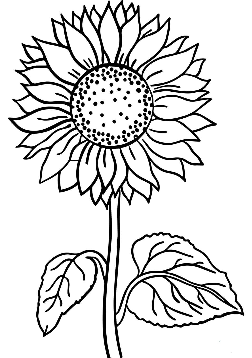 Dibujo de Girasol Basíco para Colorear y Imprimir