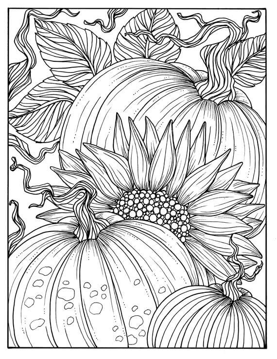 Dibujo de Girasol Con Calabaza para Colorear y Imprimir