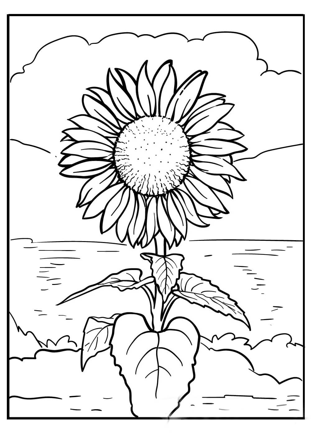Dibujo de Girasol En La Playa para Colorear y Imprimir