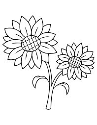 Dibujo de Girasol Gemelo para Colorear y Imprimir