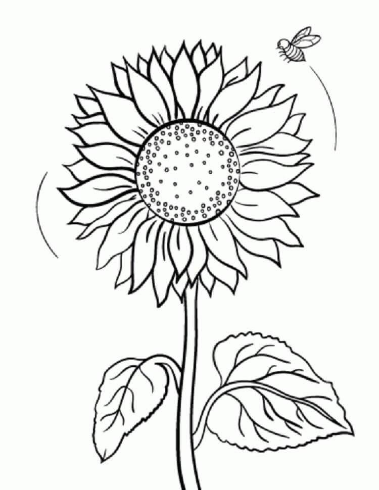 Dibujo de Girasol y Abeja para Colorear y Imprimir