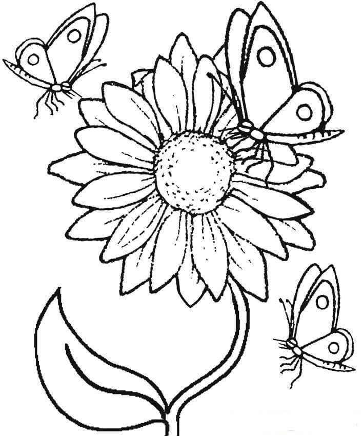 Dibujo de Girasol y Mariposa para Colorear y Imprimir