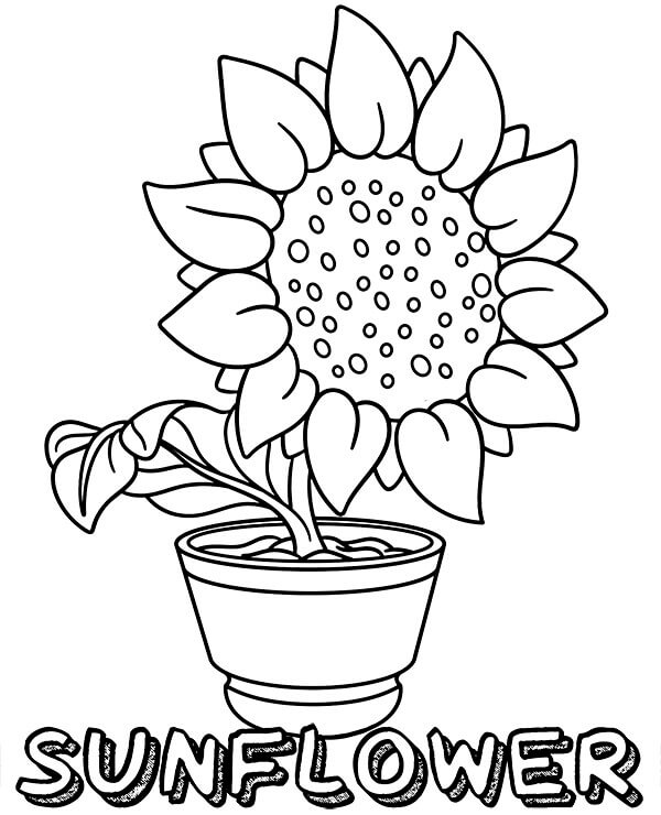 Dibujo de Girasoles En Macetas para Colorear y Imprimir