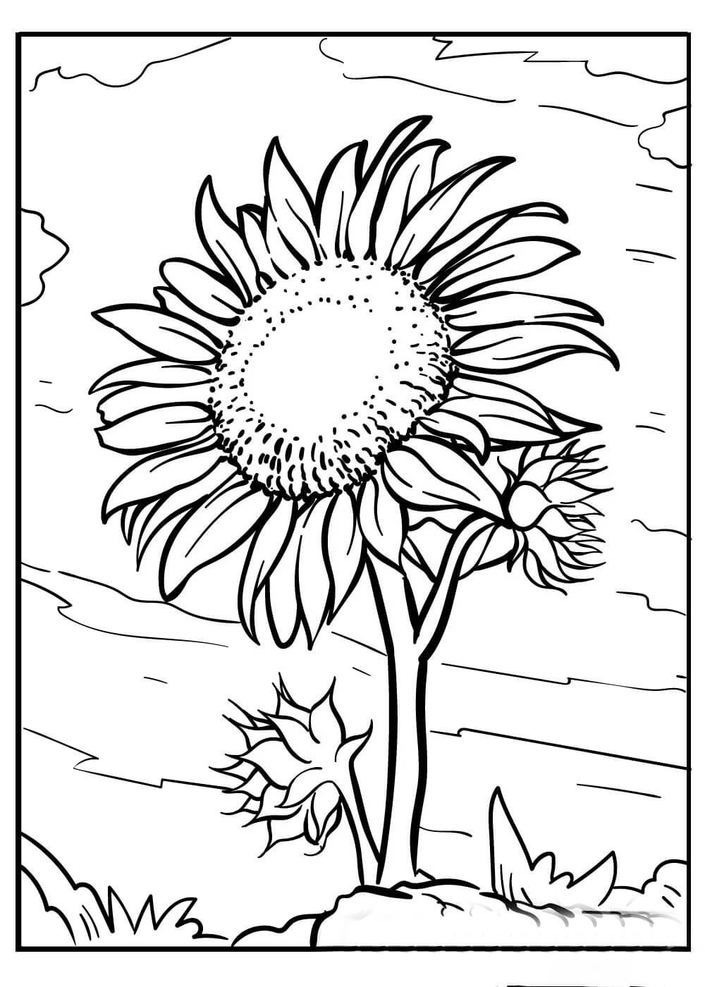 Dibujo de Hermoso Girasol para Colorear y Imprimir
