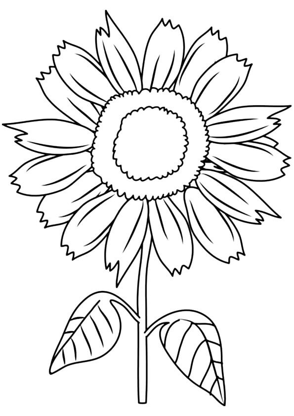 Dibujo de Sonrisa Soleada Girasol para Colorear y Imprimir