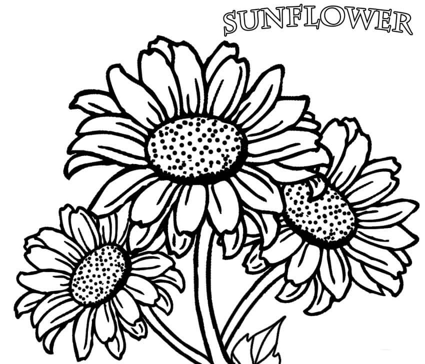 Dibujo de Tres Flores para Colorear y Imprimir