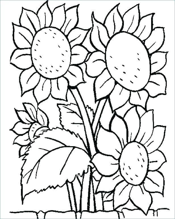 Dibujo de Un Ramo de Girasoles para Colorear y Imprimir