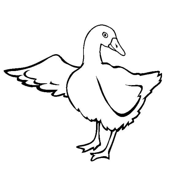 Dibujo de Bonito Ganso para Colorear y Imprimir