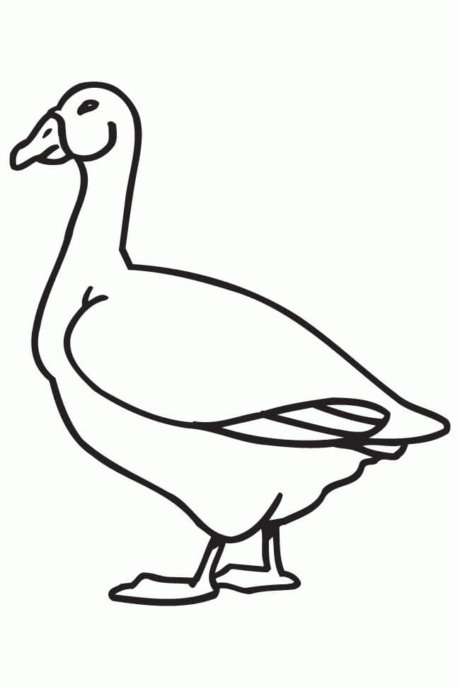 Dibujo de Dibujo de Ganso para Colorear y Imprimir