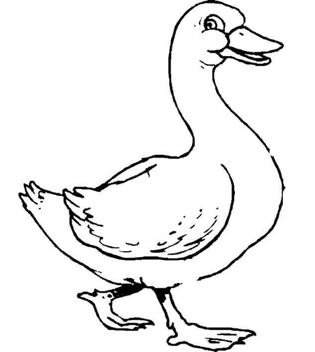 Dibujo de Divertido Ganso Caminar para Colorear y Imprimir