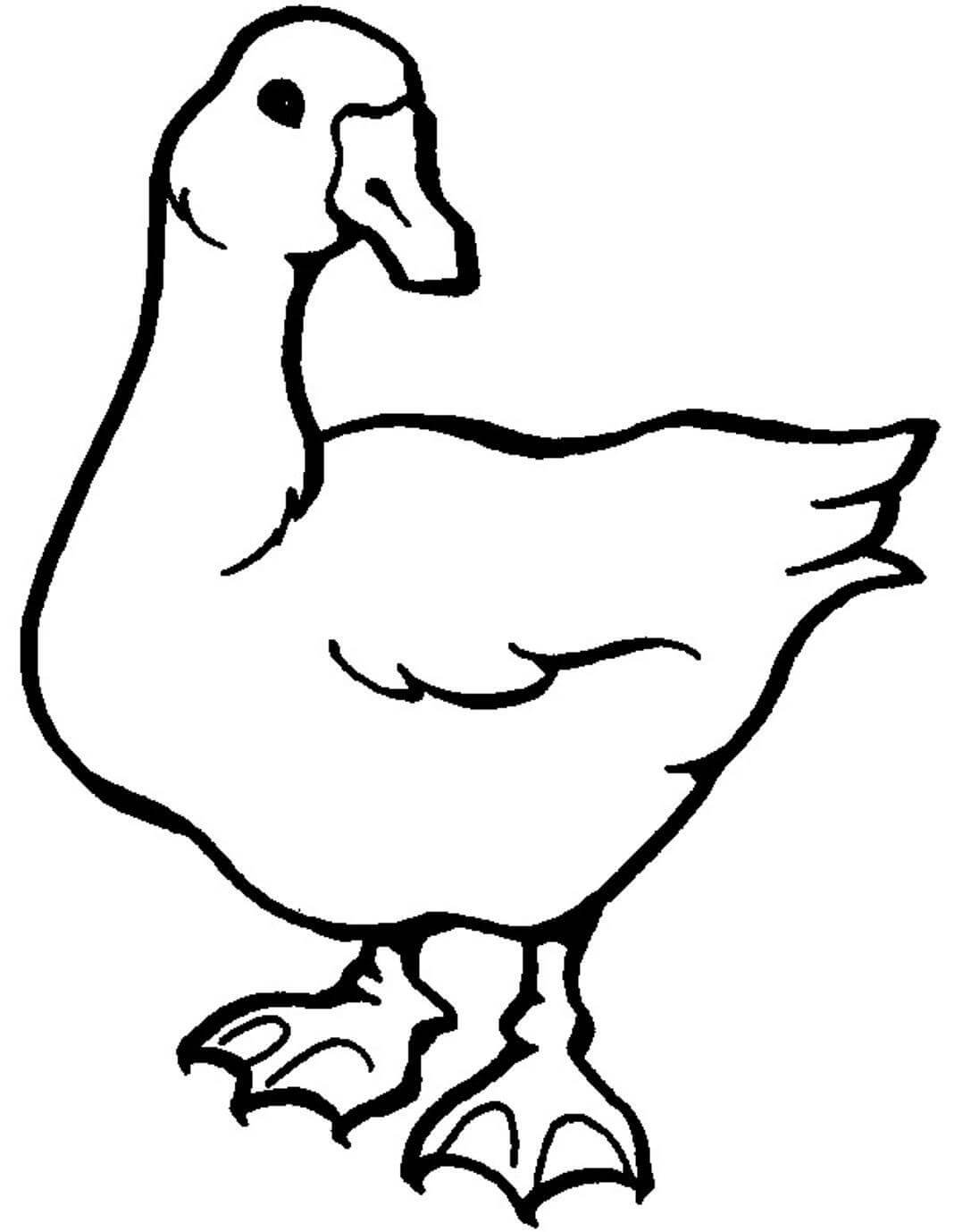 Dibujo de Ganso Blanco para Colorear y Imprimir
