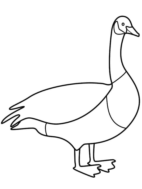 Dibujo de Ganso de Canadá para Colorear y Imprimir
