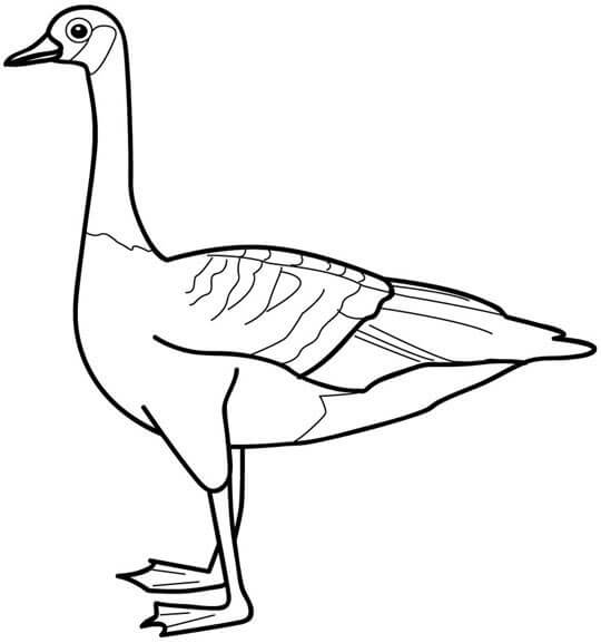 Dibujo de Ganso Impresionante para Colorear y Imprimir