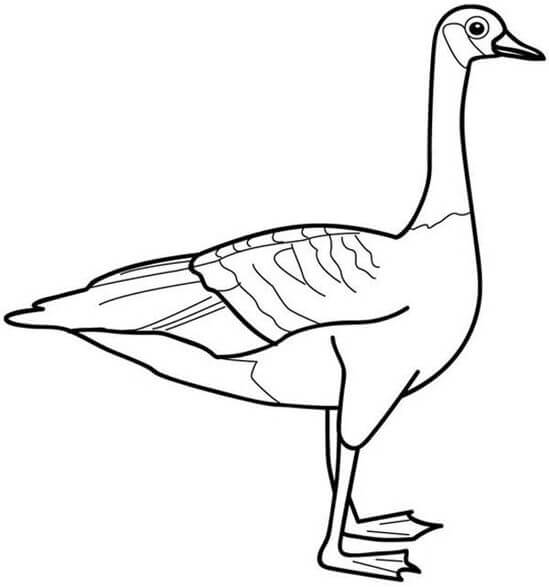 Dibujo de Ganso Perfecto para Colorear y Imprimir
