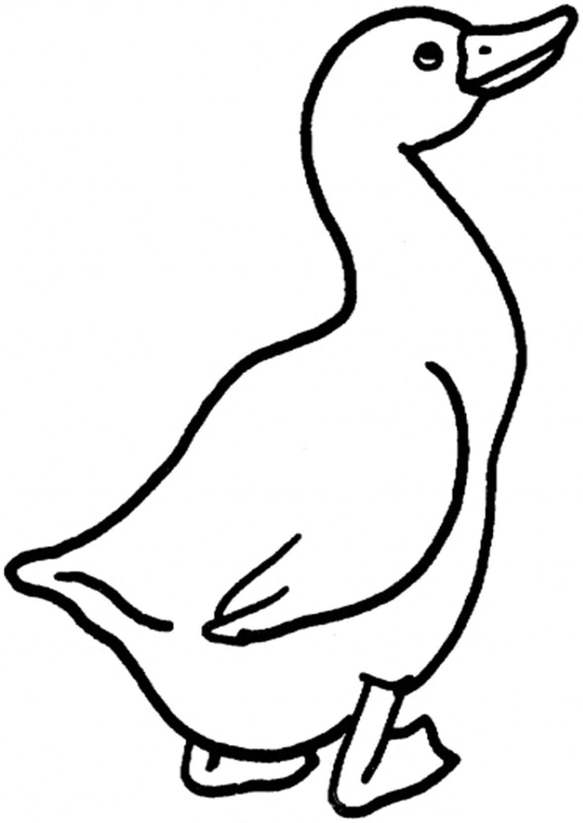 Dibujo de Ganso Simple para Colorear y Imprimir