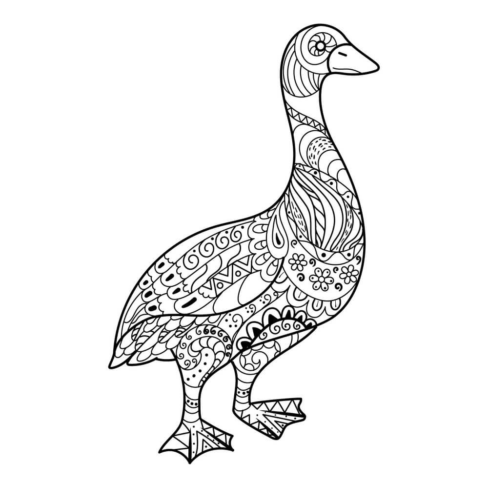 Dibujo de Goose Es para Adultos para Colorear y Imprimir