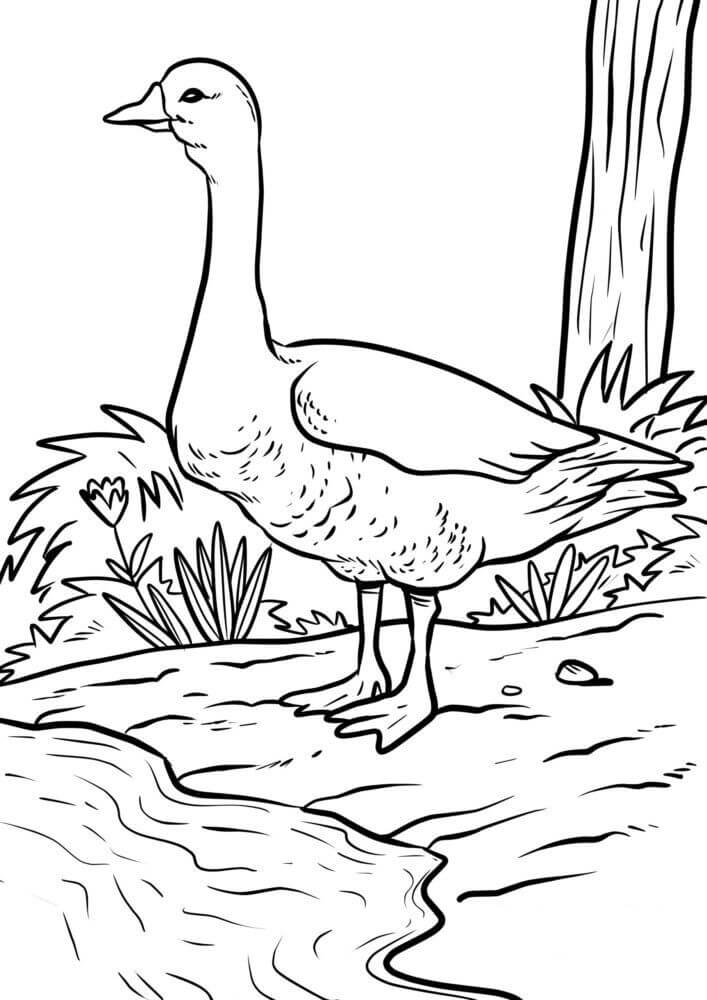 Dibujo de Gran Ganso para Colorear y Imprimir