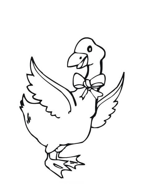 Dibujo de Hermoso Ganso para Colorear y Imprimir