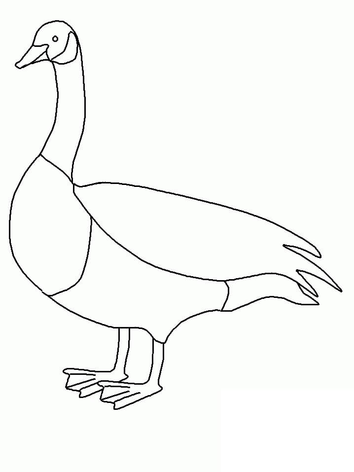 Dibujo de Increíble Ganso para Colorear y Imprimir