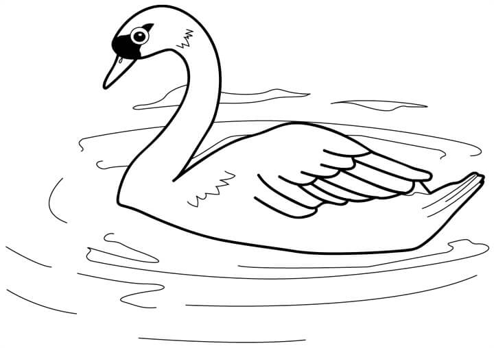 Dibujo de Natación Básica Del Ganso para Colorear y Imprimir