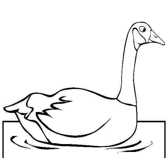 Dibujo de Natación Del Ganso para Colorear y Imprimir