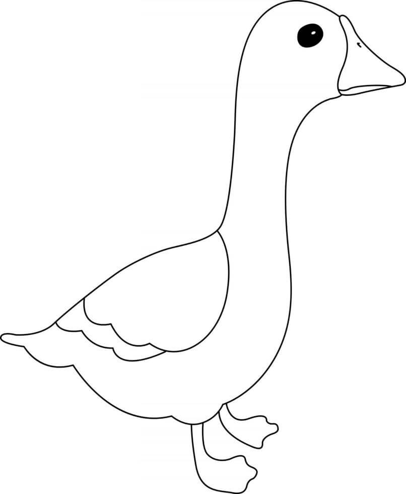 Dibujo de Pequeño Ganso para Colorear y Imprimir