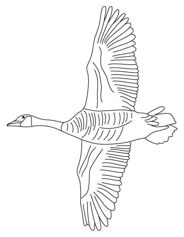 Dibujo de Vuelo de Ganso para Colorear y Imprimir