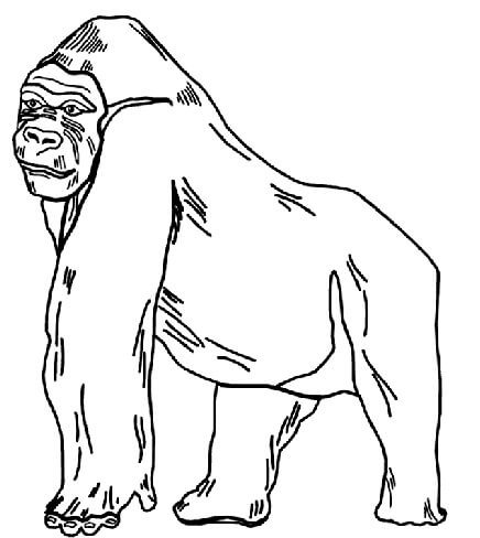 dibujo divertido gorila para colorear