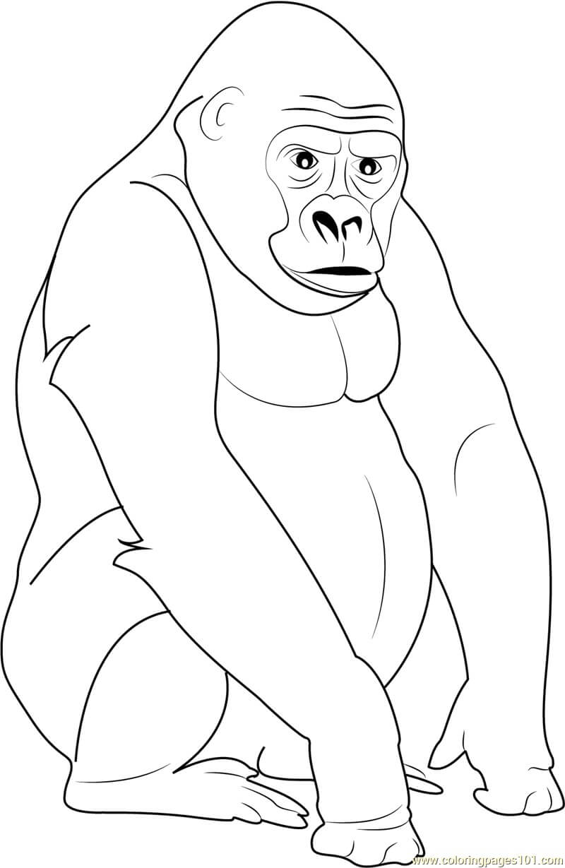dibujo gorila estupido para colorear