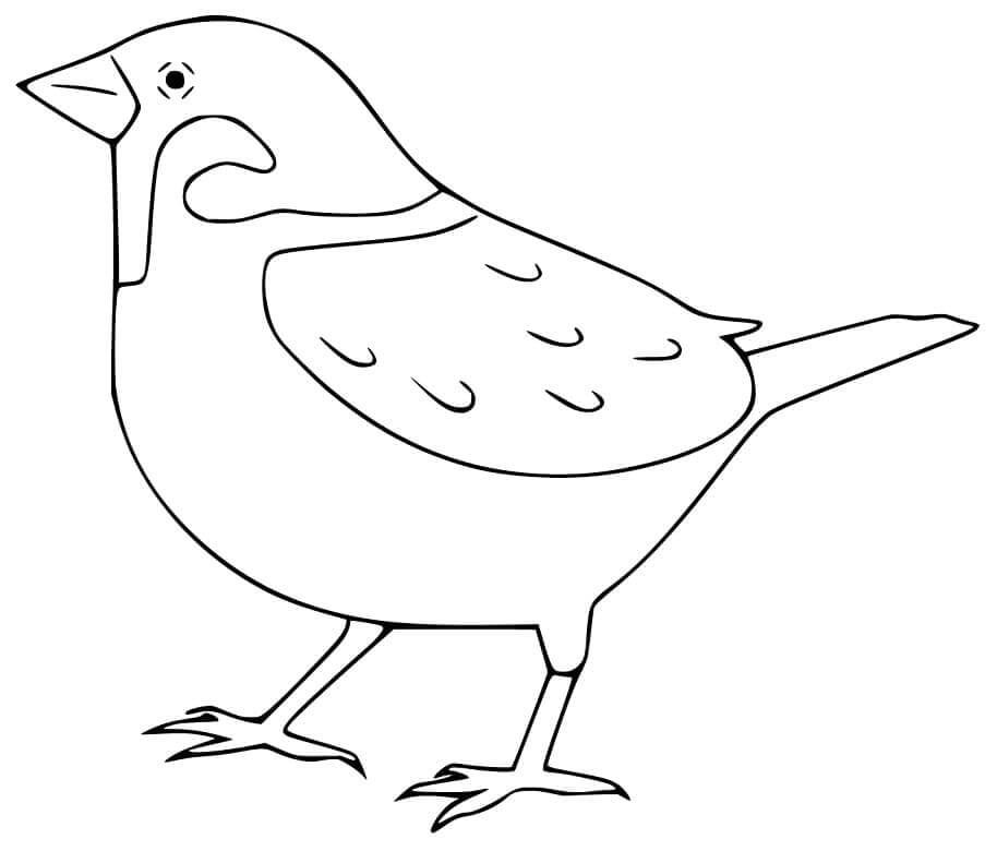 dibujo gorrion gracioso para colorear
