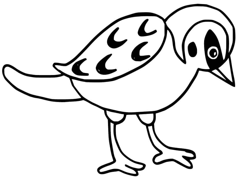 dibujo gran gorrion para colorear