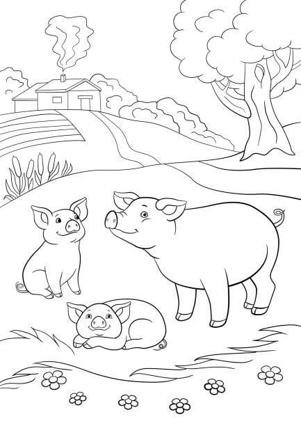 Granja para Colorear