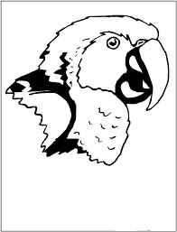 Dibujo de Cara de Guacamayo Loro para Colorear y Imprimir