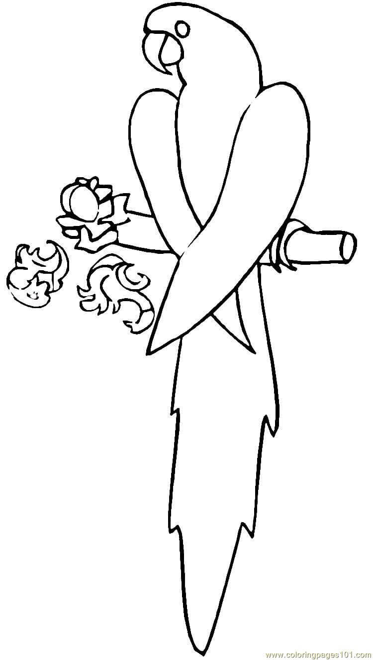 Dibujo de Guacamaya Azul para Colorear y Imprimir
