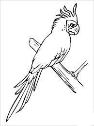Dibujo de Guacamayo Adorable para Colorear y Imprimir