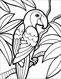 Dibujo de Guacamayo Agradable para Colorear y Imprimir