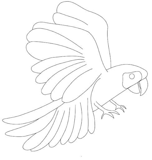 Dibujo de Guacamayo Blanco para Colorear y Imprimir