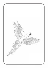 Dibujo de Loro Guacamayo Escarlata para Colorear y Imprimir
