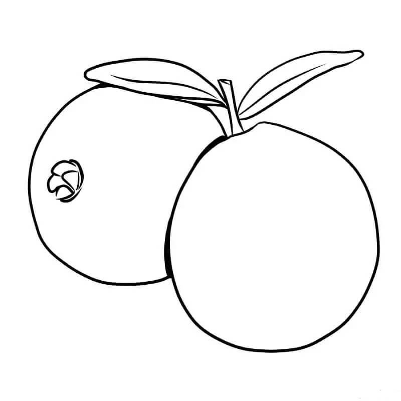 dibujo buena guayaba para colorear