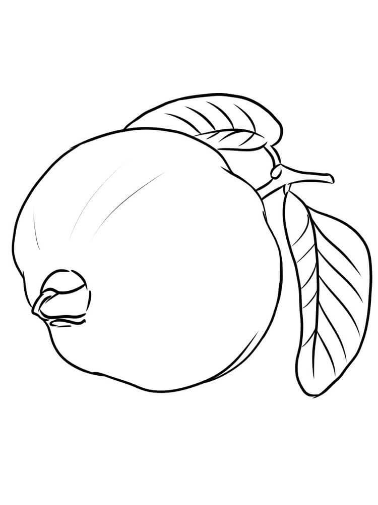Guayaba para Colorear