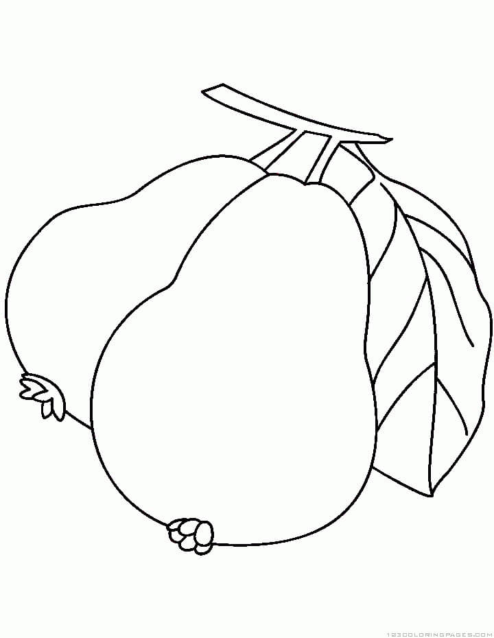 dibujo fruta de guayaba para colorear
